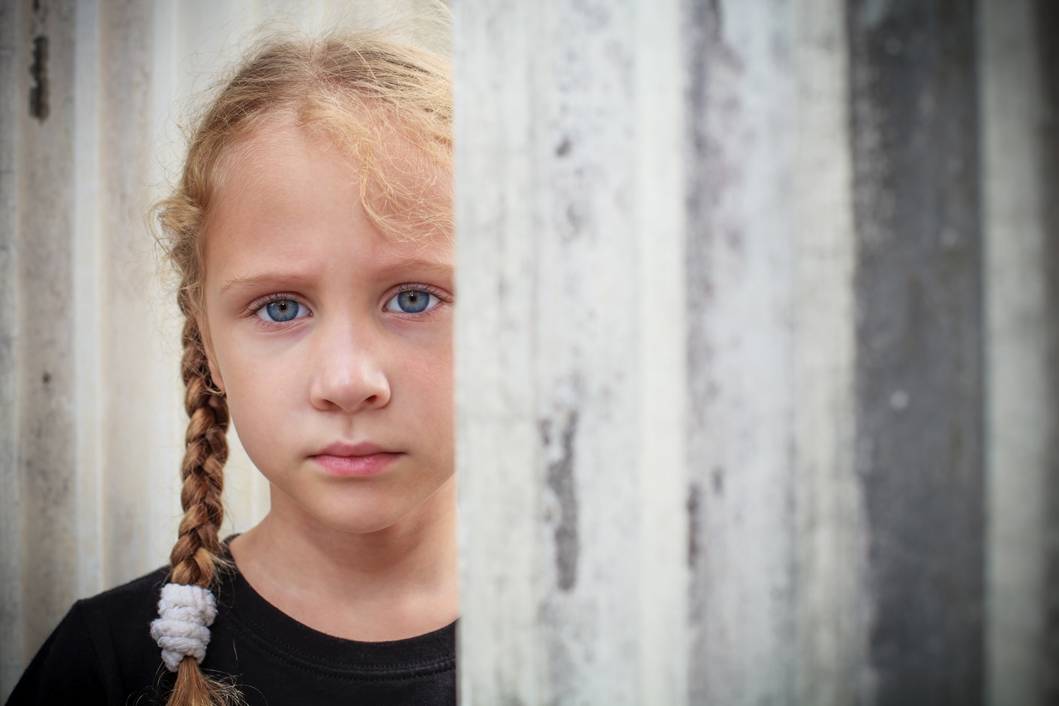 Shutterstock 110442686